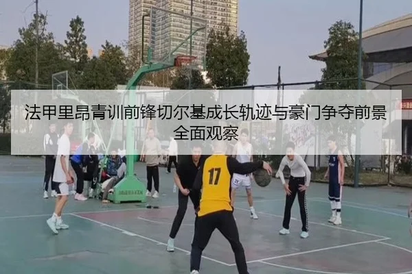 法甲里昂青训前锋切尔基成长轨迹与豪门争夺前景全面观察 | kaiyun
